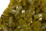 Lustrous Forest-Green Pyromorphite Crystal Cluster - China #330098-1
